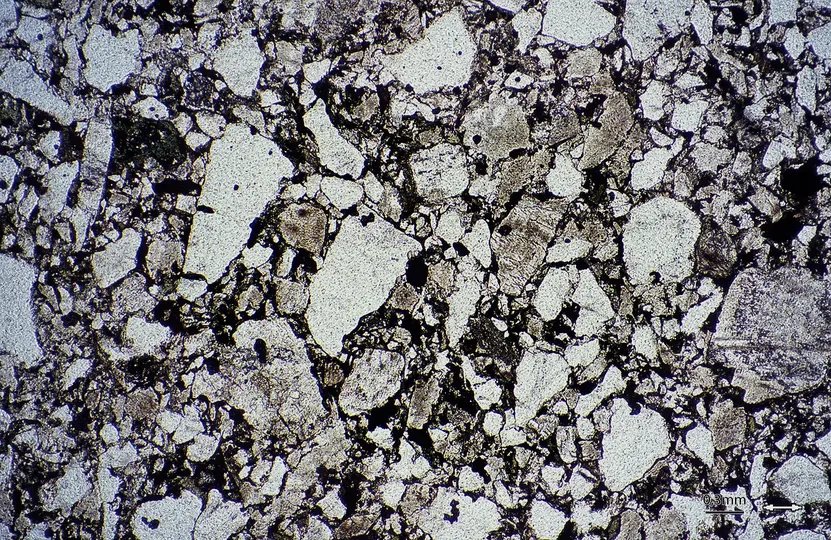 Sección Fina de roca sedimentaria clástica