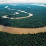 Amazonas