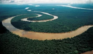 Amazonas