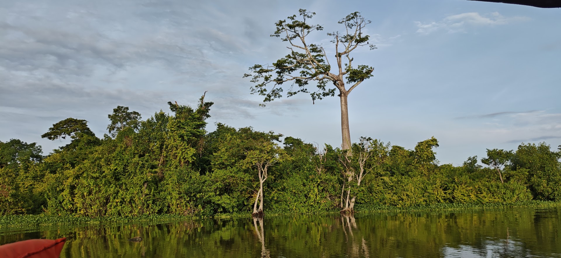 Safari en Catatumbo